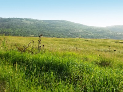 Купить Дом В Байдарской Долине Крым